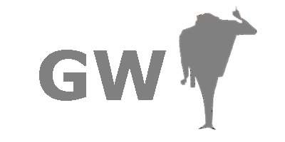 Gruyiweb de Guillermo Boffelli (Diseo y Programacin Web Profesional)